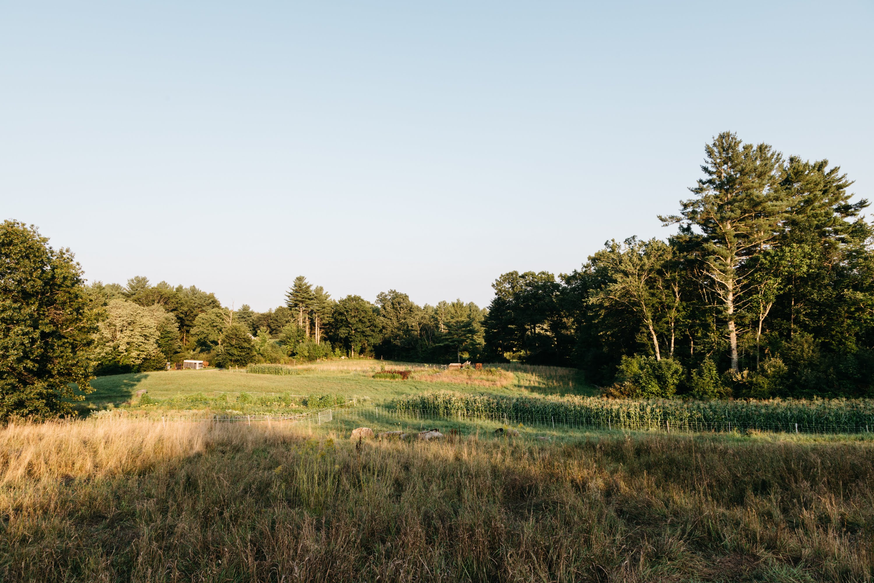 Tuckaway Farm landscape